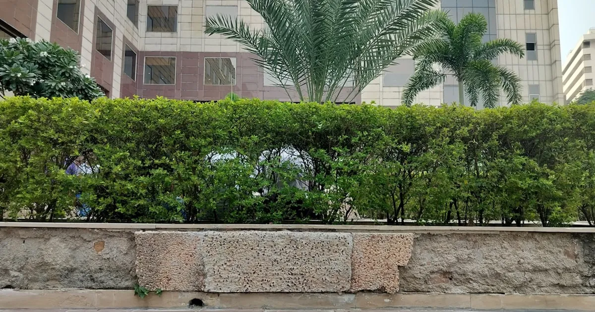 Sector 80 Gurugram Property Buyer's Guide 2026: Projects Prices And Investment Potential