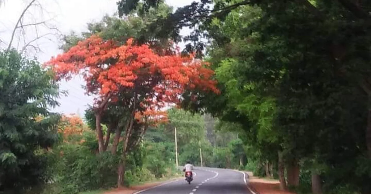 Budigere Cross, Whitefield