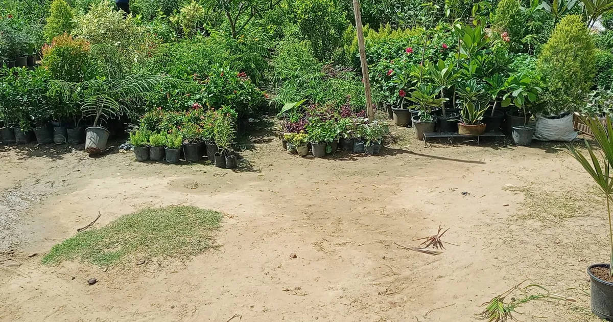 Sector 49, Golf Course Extension Road