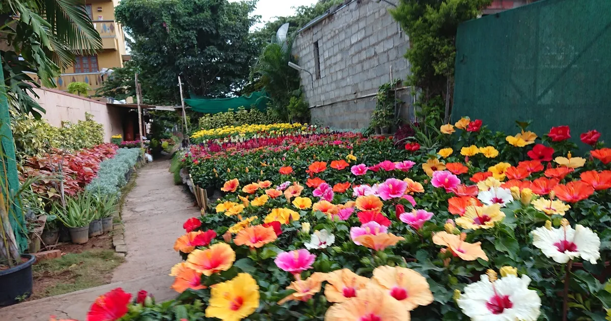 Varthur Road, East Bengaluru