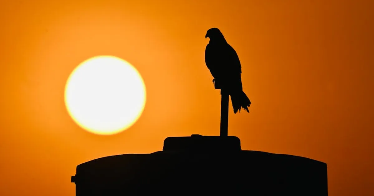 Century Tisora Yelahanka Bengaluru — 2 BHK, 2.5 BHK, 3 BHK — Attur Layout, Yelahanka New Town — Bangalore